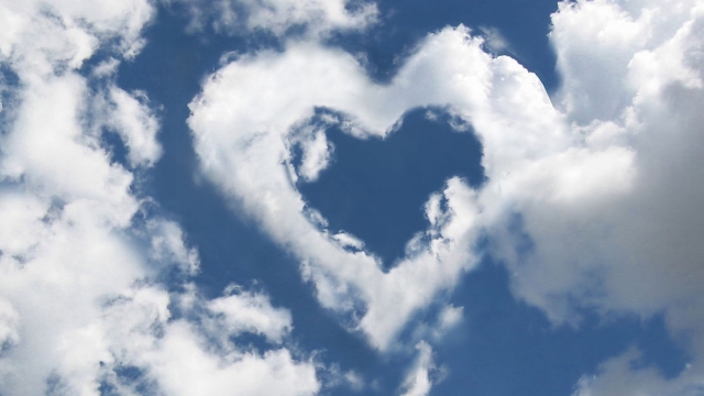 三亿体育网页版乒乓球台弹性均匀度什么标准好